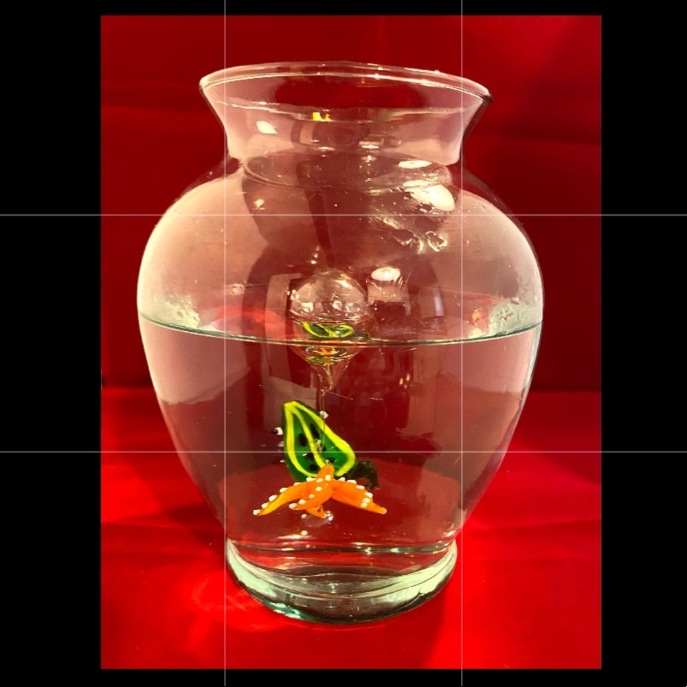 Floating Aquatic Animals